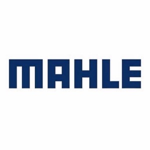 Mahle